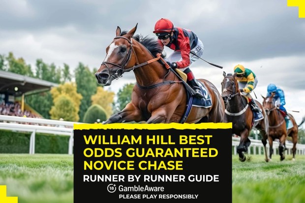 William Hill Best Odds Guaranteed Novice Chase: Runner by runner betting guide