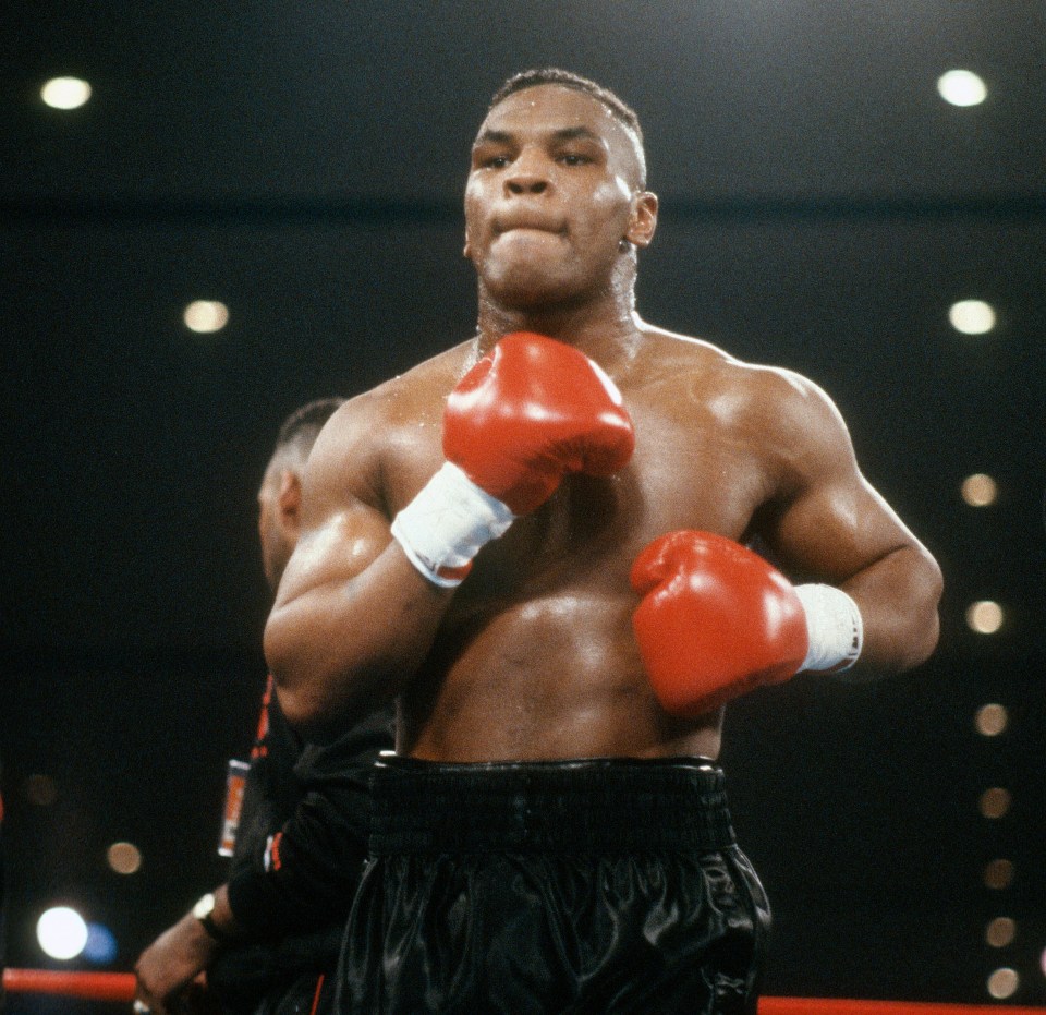 Tyson stopped Mercedes in emphatic fashion on his pro debut