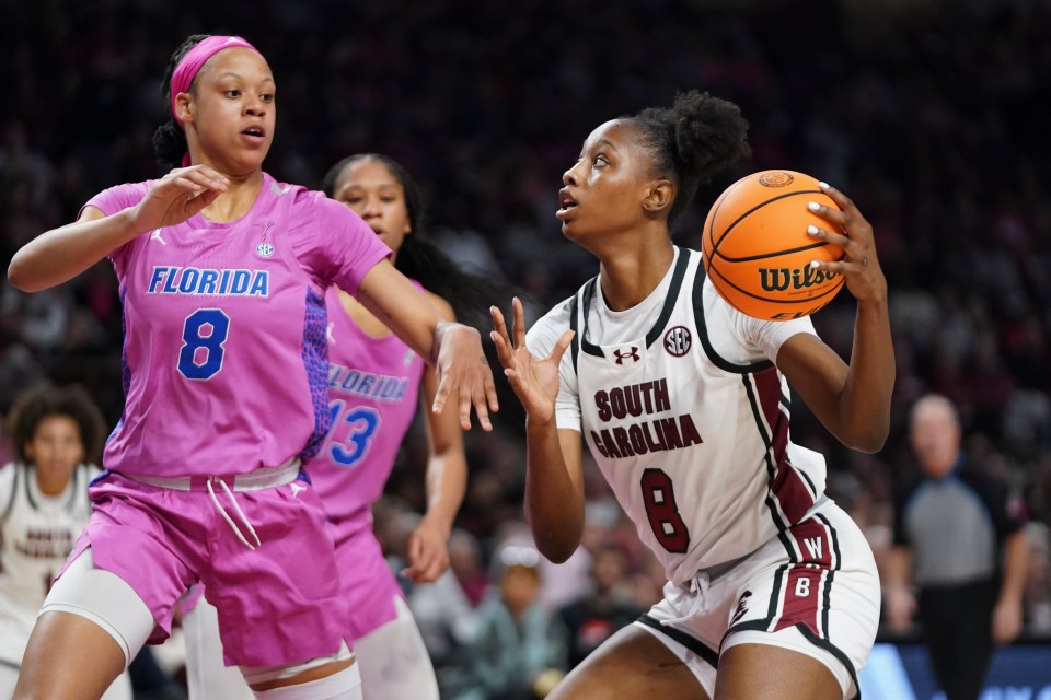 The Gators have dropped into the WBIT and hope to finish their season strong