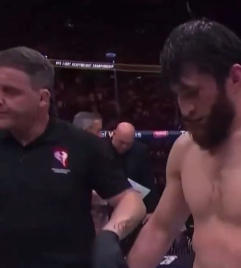 Fans felt White had an interesting reaction to the scorecards being read