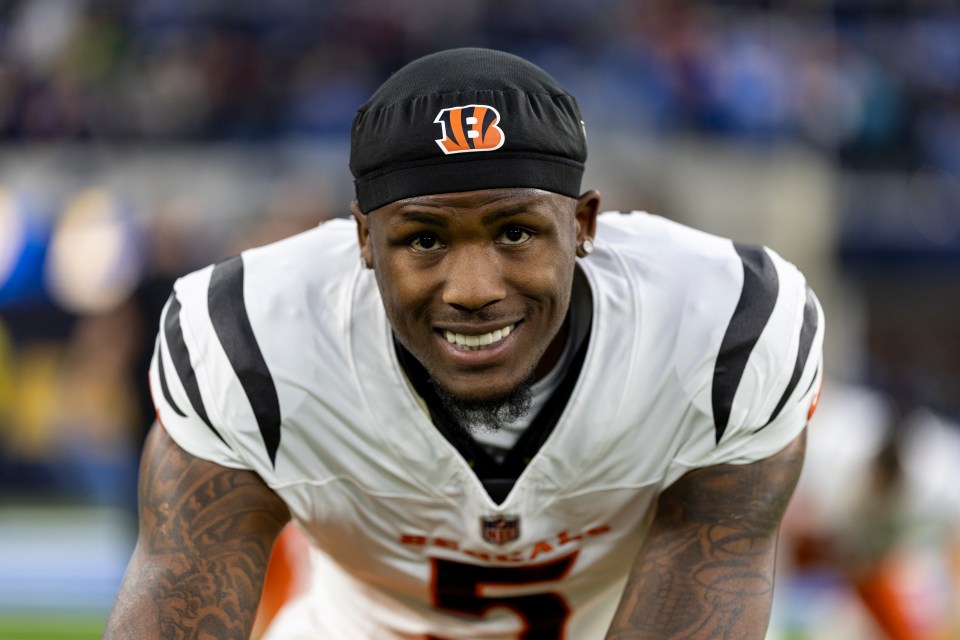 Higgins was sidelined by injuries for five games last season