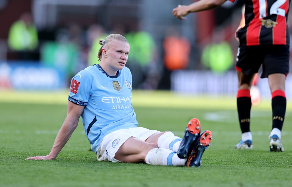 Haaland picked up an ankle injury which forced him off