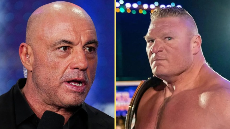 Rogan said that Lesnar could have been an 'all-time great' if he learned how to strike better