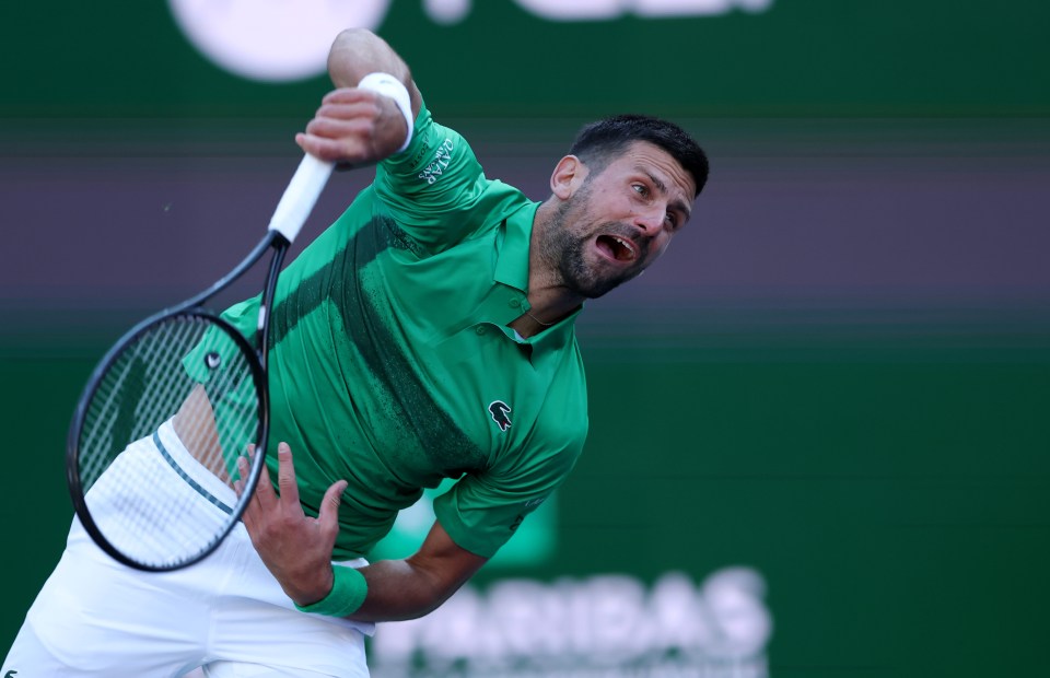 Djokovic is into the final of the Miami Open after beating Dimitrov