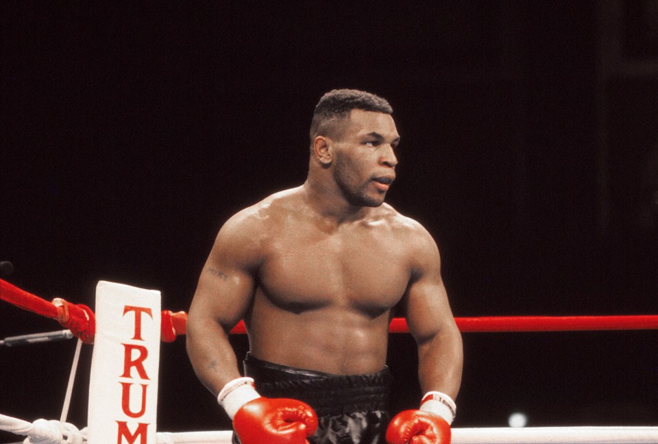 ATLANTIC CITY, NJ - JANUARY 22:  Boxer Iron Mike Tyson in his prime at Tyson vs Holmes Convention Hall in Atlantic City, New Jersey January 22 1988. (Photo by Jeffrey Asher/ Getty Images)