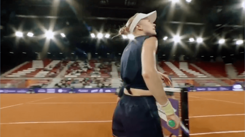 Dart made a surprising mid-match comment to the umpire
