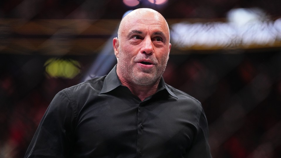 Rogan claimed if Dana White leaves the UFC so does he